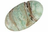 Polished Blue Caribbean Calcite Palm Stone #187872-1